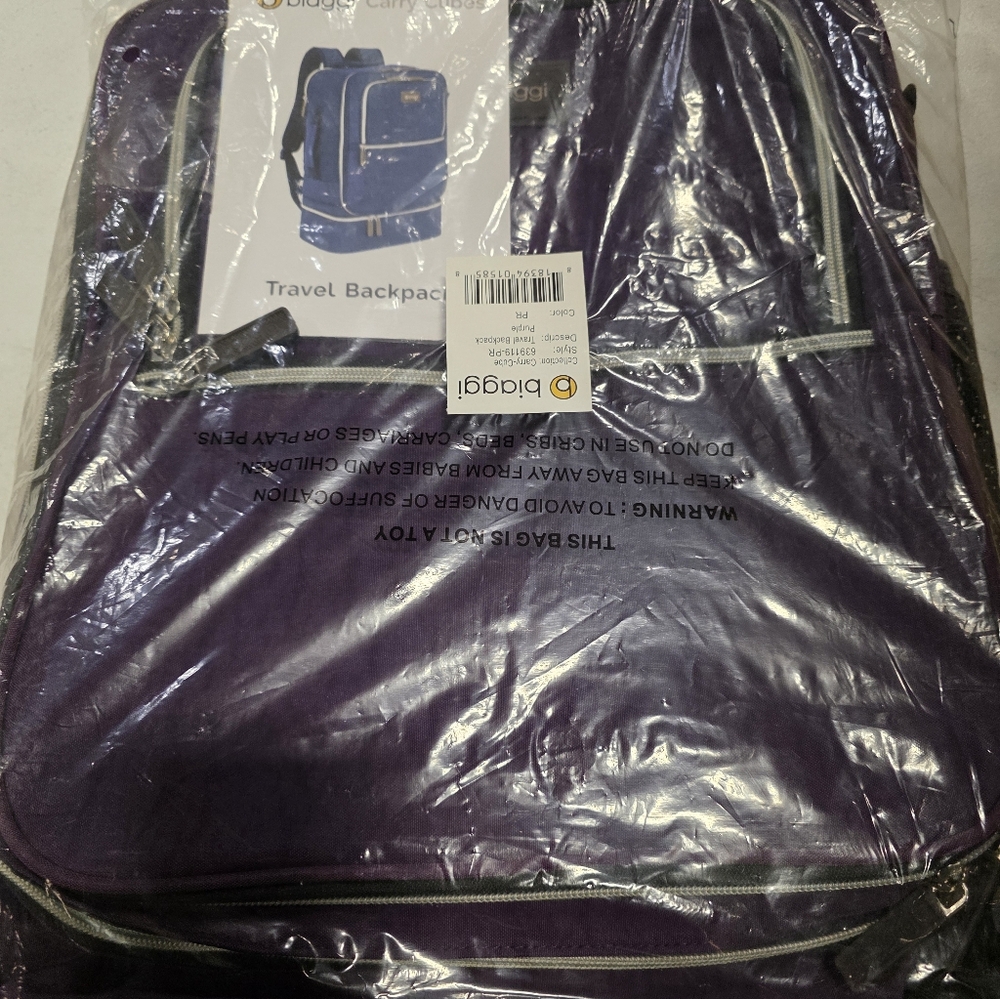 Biaggi Carry Cube Backpack - Picture 9 of 10